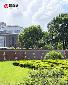 足底壓力檢測(cè)儀，人體姿態(tài)檢測(cè)儀